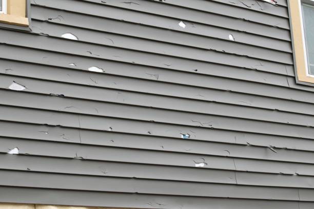 Best Fiber Cement Siding Installation  in Healdton, OK